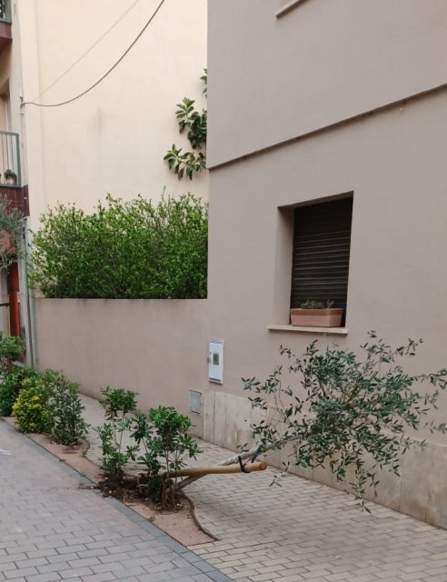 Més informació sobre l'article Destrosses en el mobiliari urbà