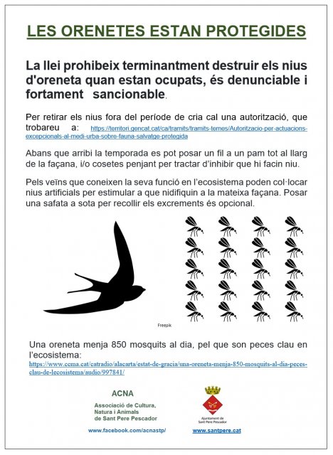 Més informació sobre l'article Les orenetes estan protegides