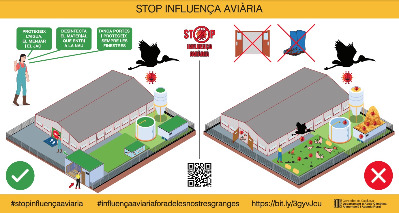 Més informació sobre l'article Trobat un altre cas de grip aviària en una granja de gall d´indi.