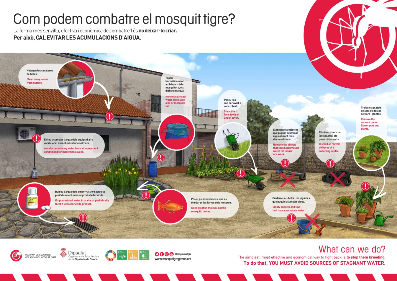 Més informació sobre l'article Controlem el MOSQUIT TIGRE